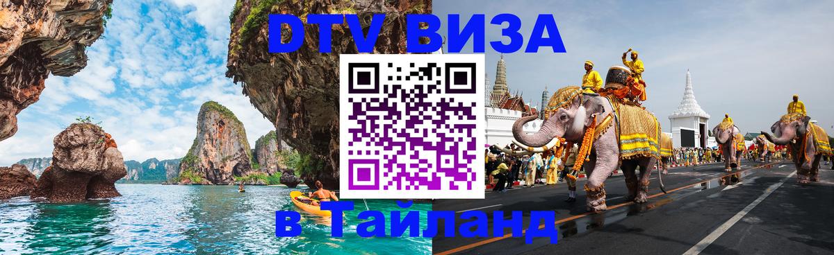 Оформление DTV визы под ключ: стоимость и тарифы, только загранпаспорт - 